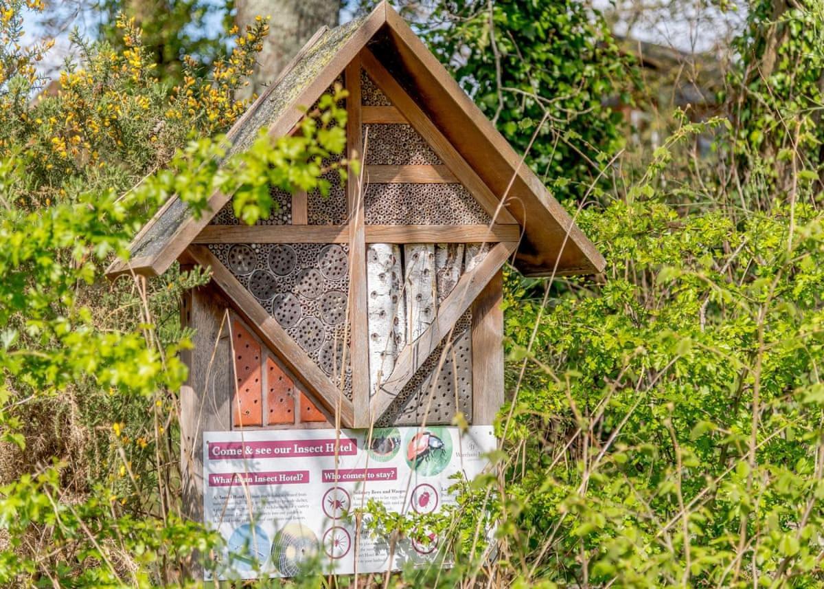 Lytchett Minster Wareham Forest Lodge Retreat מראה חיצוני תמונה