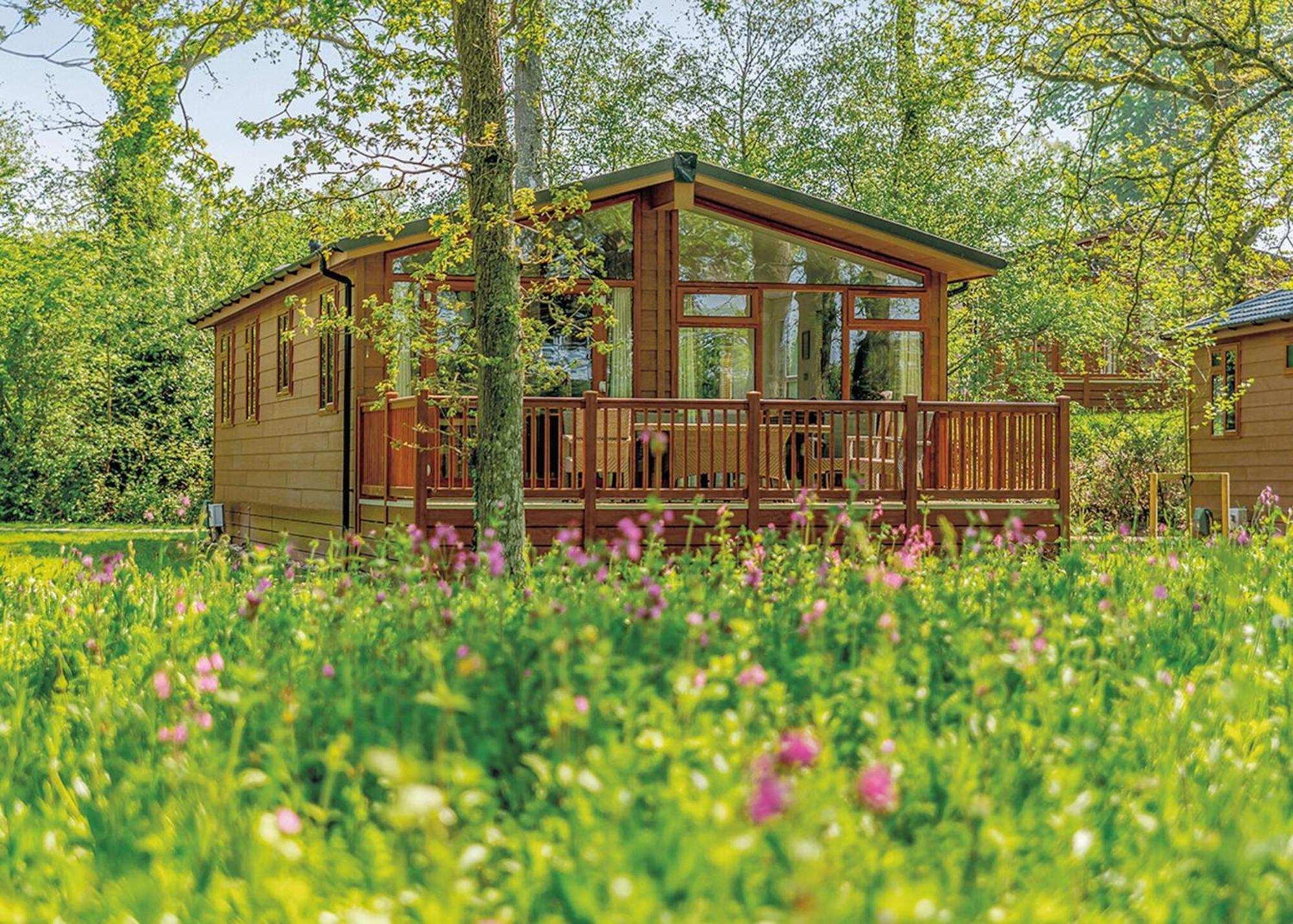 Lytchett Minster Wareham Forest Lodge Retreat מראה חיצוני תמונה